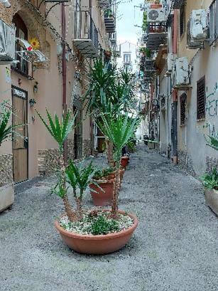 Ferienwohnung La Rosa Dei Venti " Ponente" Palermo Exterior foto
